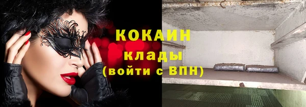 индика Нефтекумск