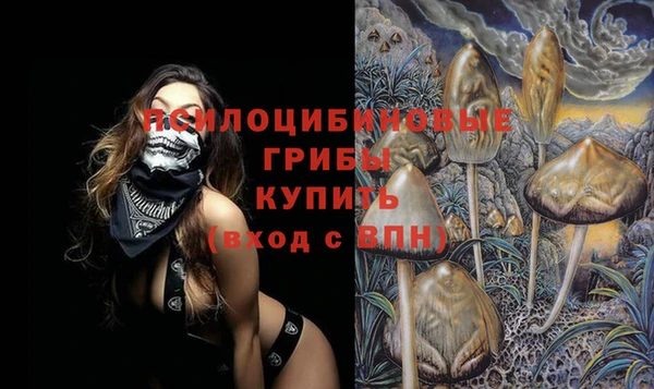 индика Нефтекумск