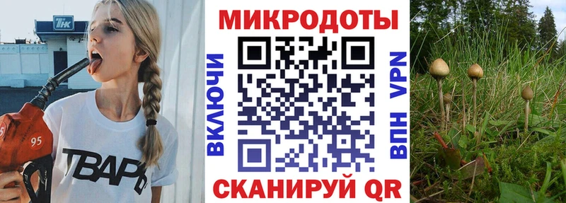 Галлюциногенные грибы Cubensis  Нарьян-Мар 